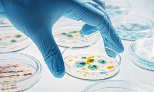 M.Phil. Microbiology